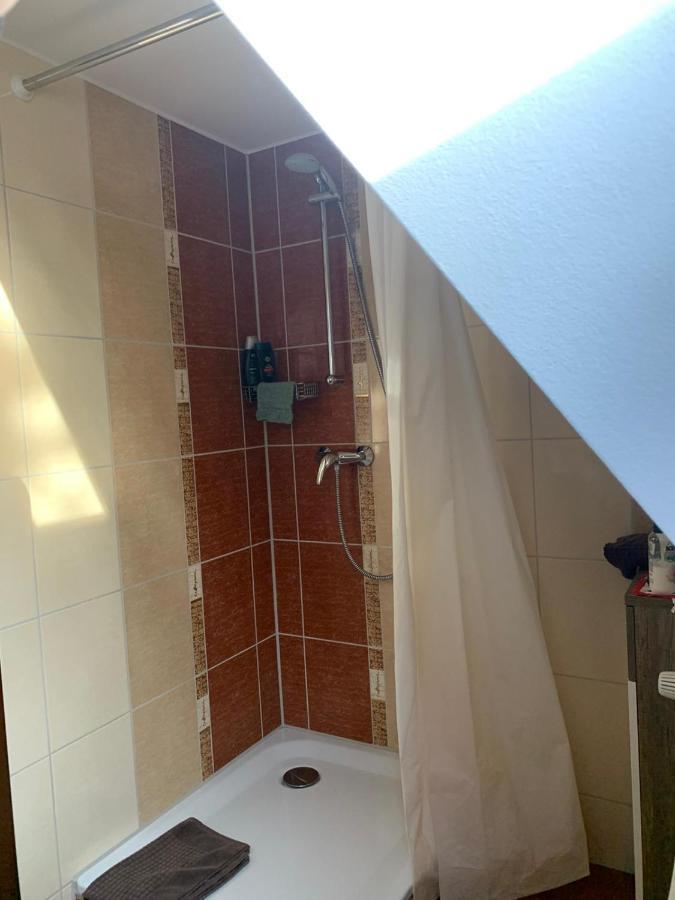 Palmengarten Gasthof 3*